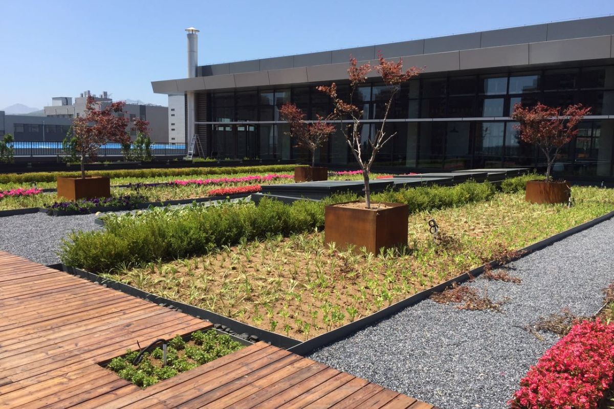 Epoch Building - Roof Garden